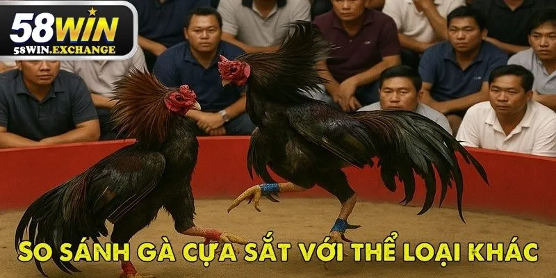 Tổng quan về đá gà cựa sắt